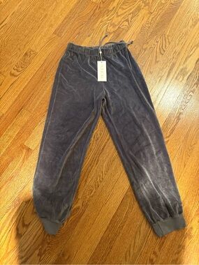 Suzie Kondi Slate Velour Joggers - Sz S - NWT